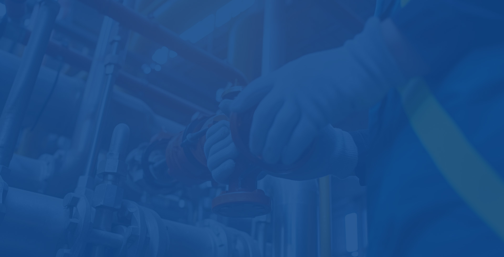 Cross border import comprehensive service provider