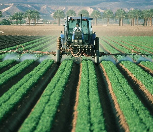 Agriculture